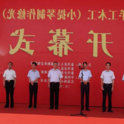 2020年泰兴市手工木工(小提琴制作修光)职业技能大赛