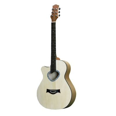 FG028C-40